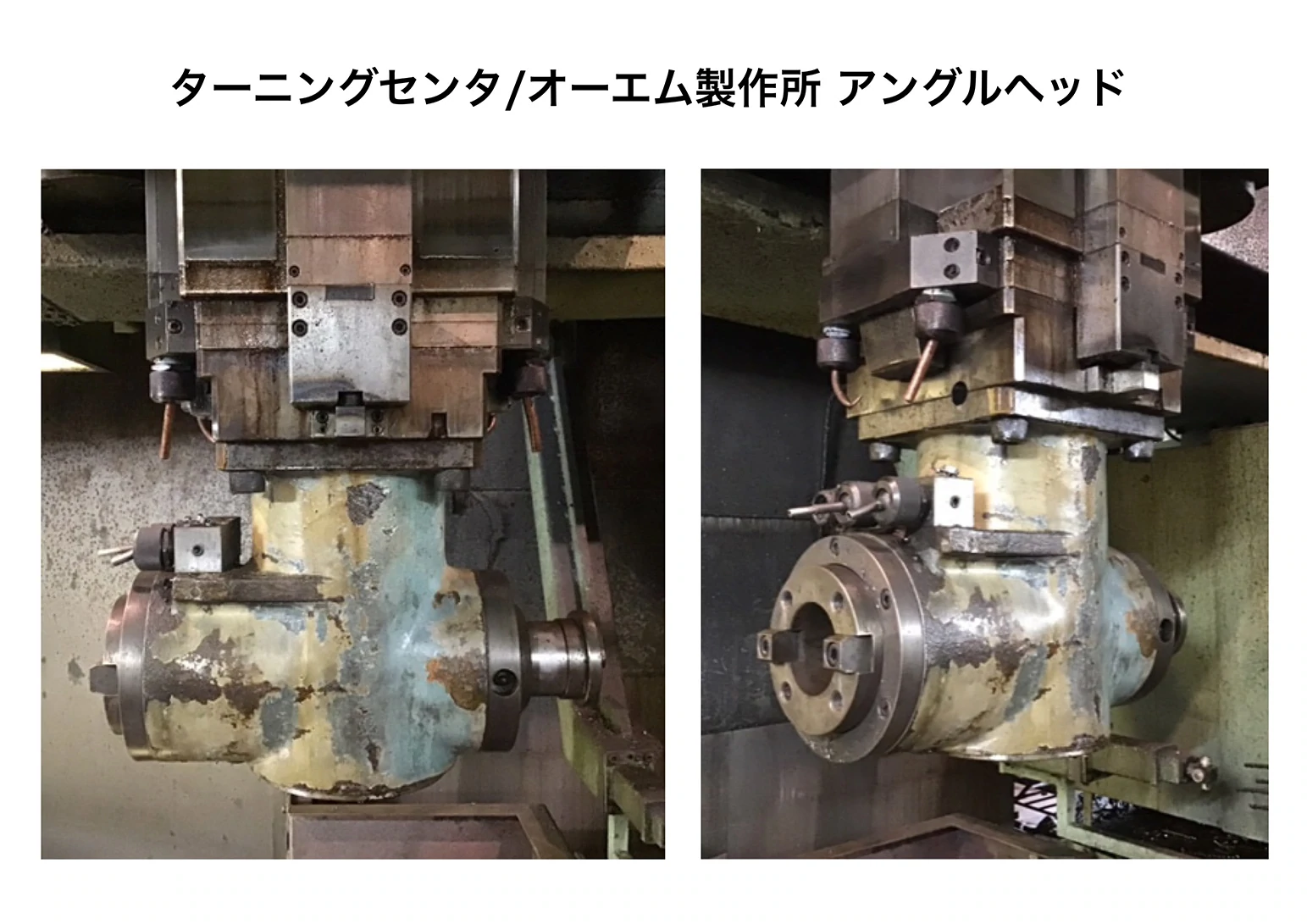 アングルヘッドの画像