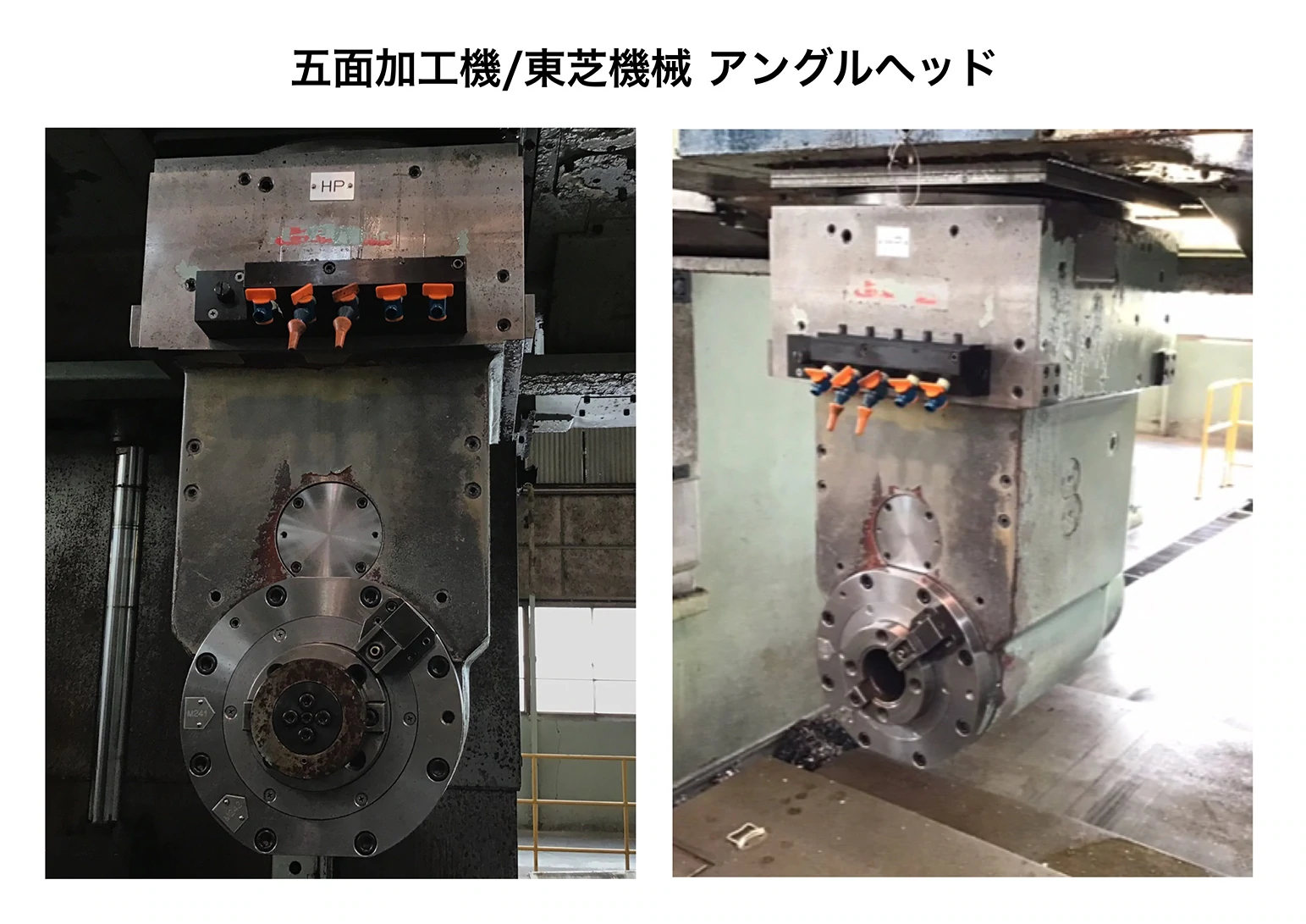 アングルヘッドの画像