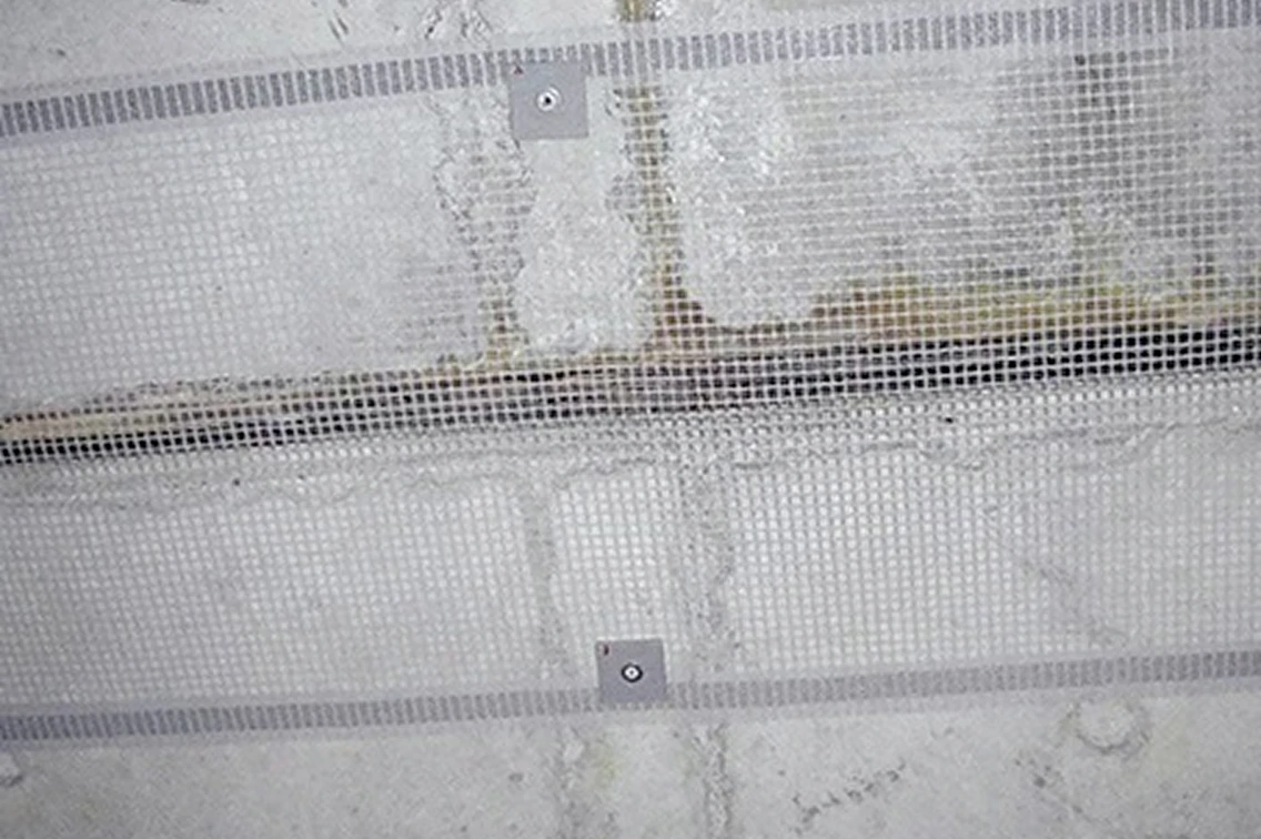 活用事例の画像1