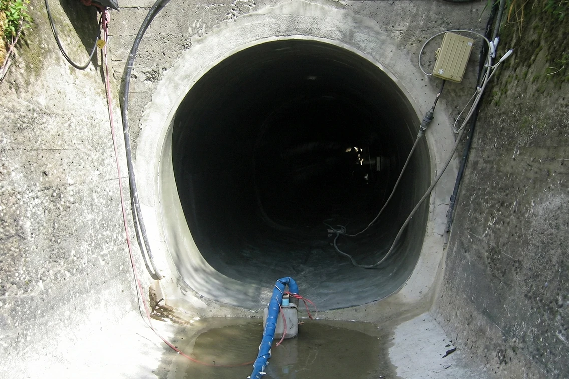 活用事例の写真4