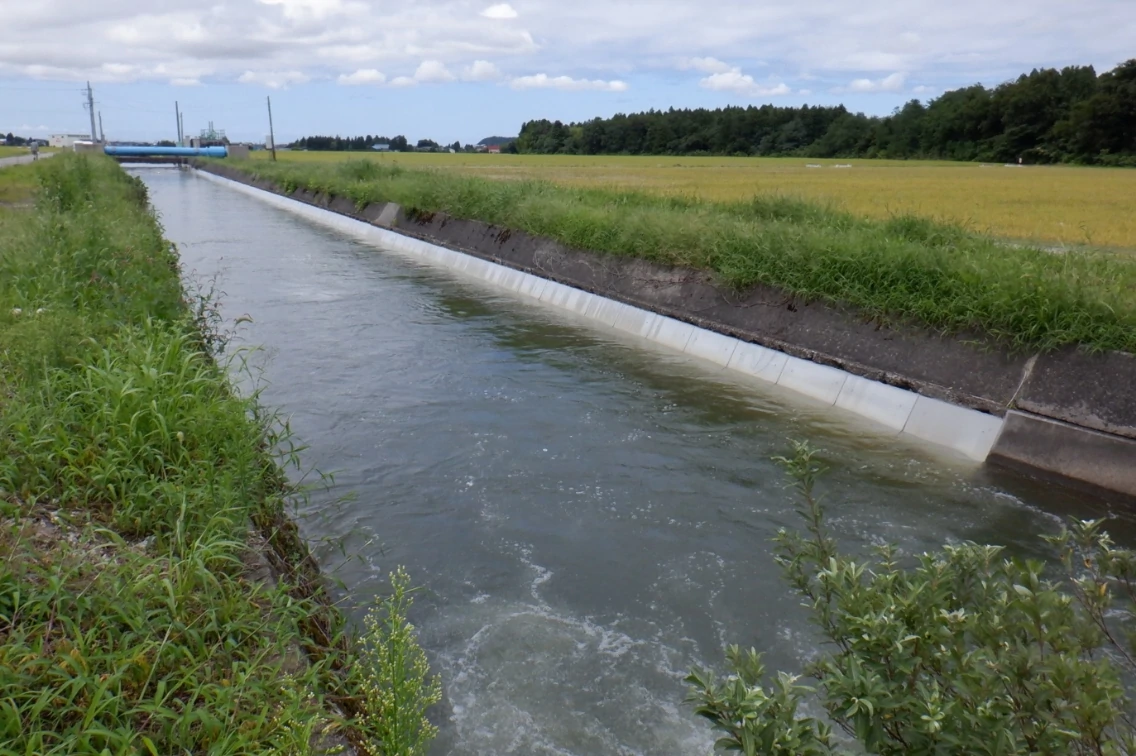 活用事例の画像1