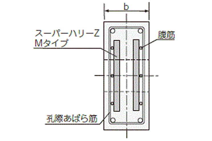 あばら筋および腹筋の内側にしっかりと取り付けるの画像