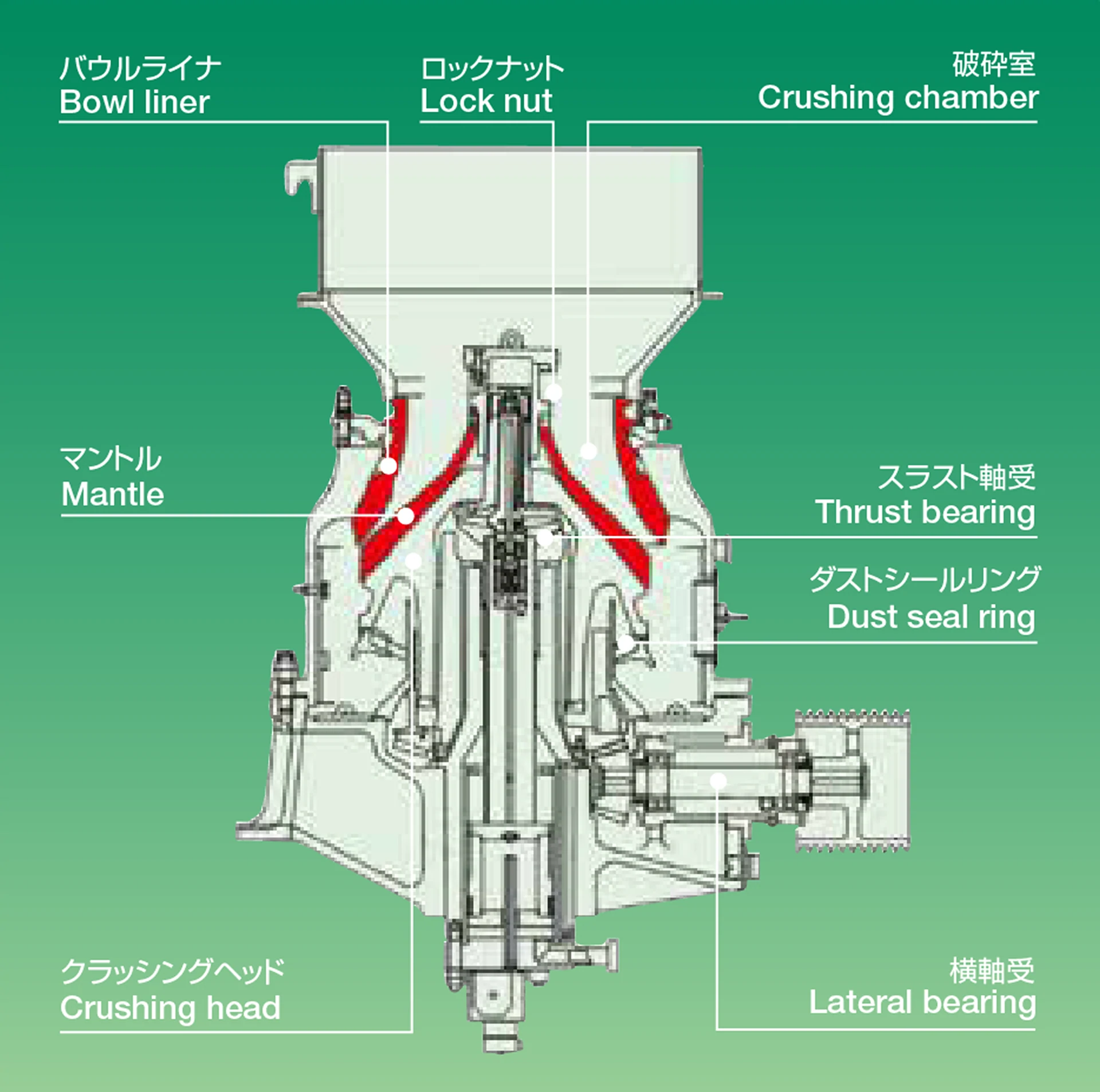 ニューチャンピオンコースの構成図
