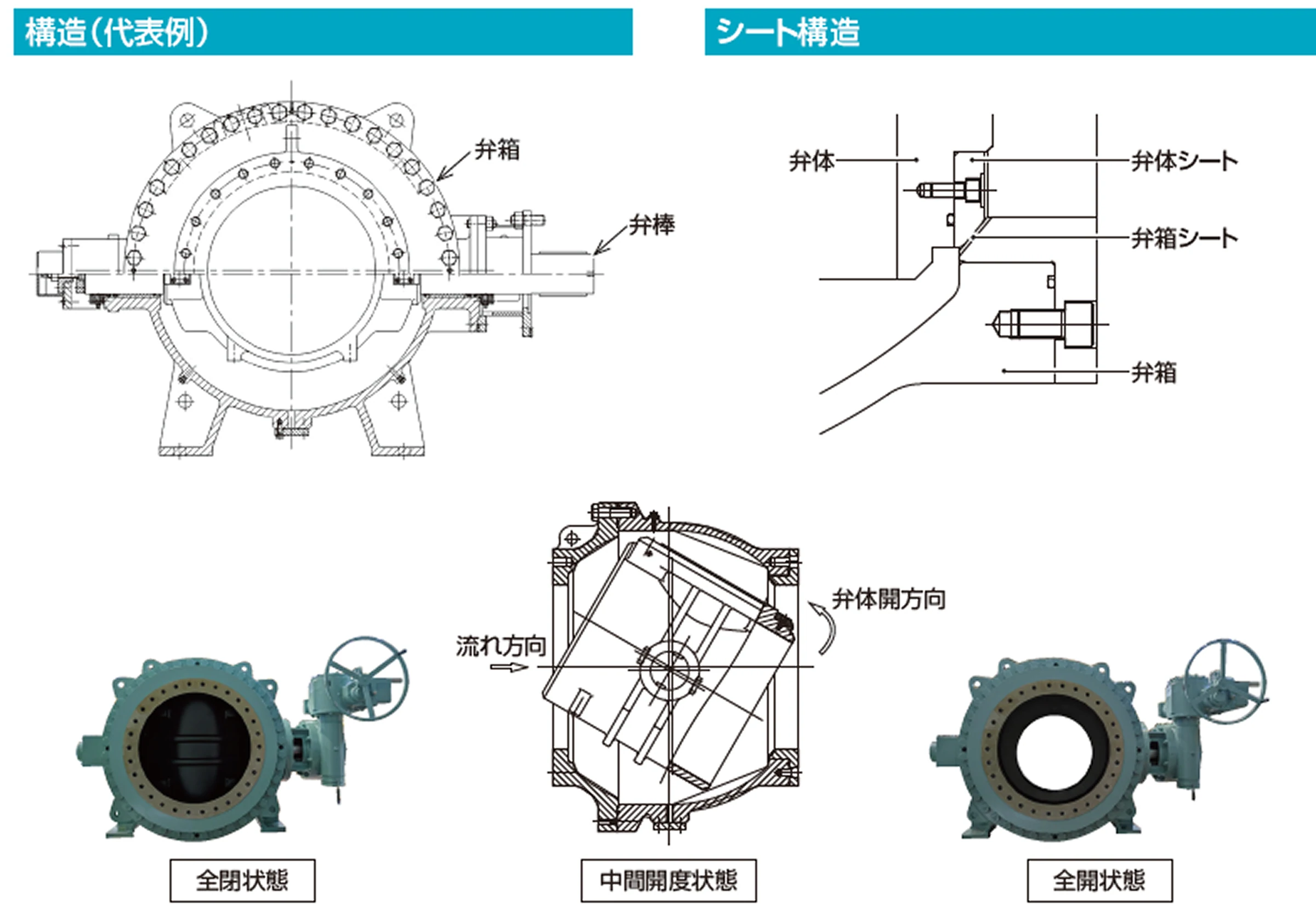 構造（代表例）とシート構造の画像