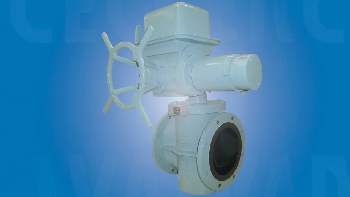 偏心構造弁 エキセントリックバルブの画像