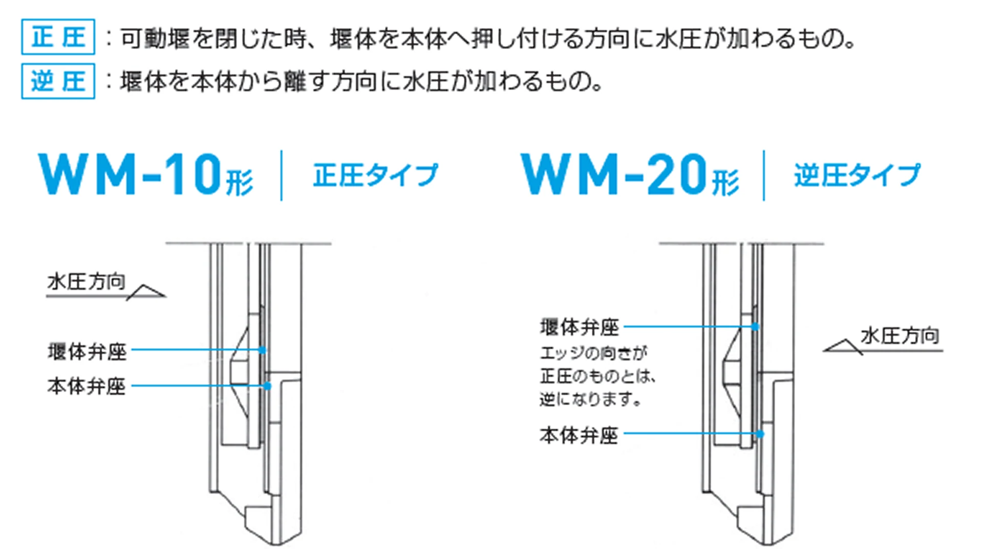 可動堰 構造の画像2